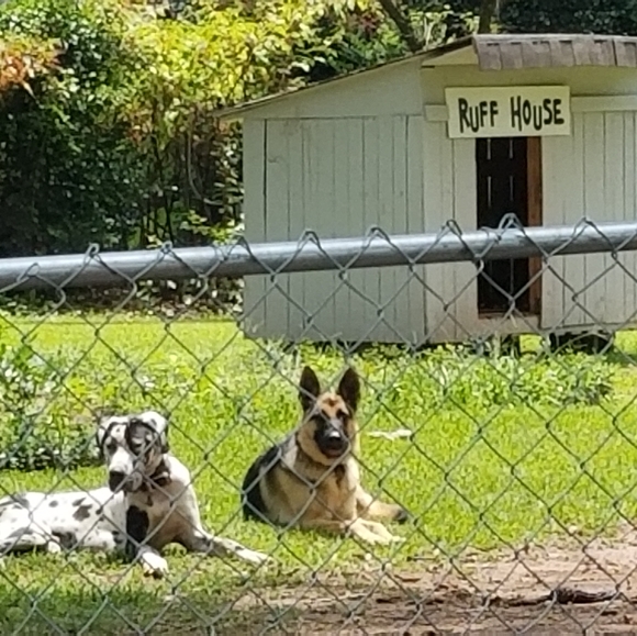 Hello Poshmark family! I am Chyteal. - Picture 11 of 16